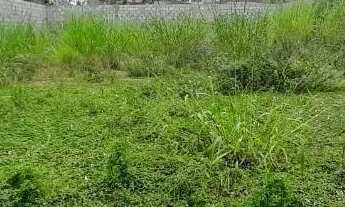 Imagem 6: TERRENO - ALTO DE PINHEIROS - SP