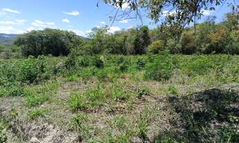 Imagem 7: Ótima chácara Chácara com venda por R$70.000