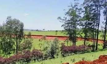 Imagem 3: 1m terrenos bem localizados divisa entre mairiporã e atibaia pertinho de SP