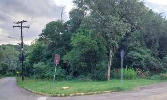 Imagem 6: CAXIAS DO SUL - Terreno Padrão - DESVIO RIZZO