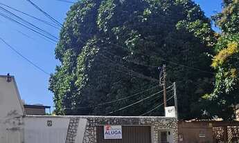 Imagem: Térrea para aluguel tem 140 metros quadrados