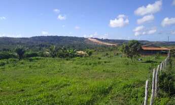 Imagem 6: Terreno na fazenda curimã em Itaporanga