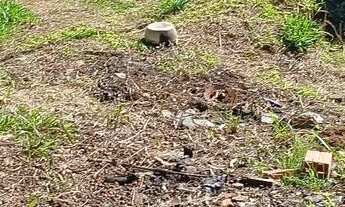 Imagem 3: Terreno vendo ou troco por veículos utilitários