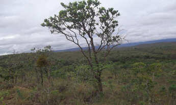 Imagem 5: Chácaras de 1.250 metros, próximo a Serra do Cipó (Temos varias opções)