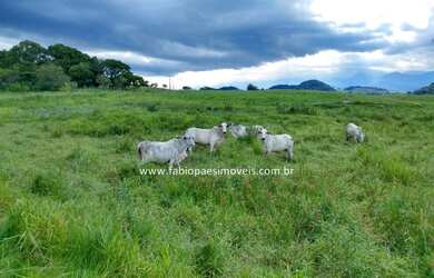 Imagem 6: Fabio Paes Imóveis - Fazenda de 33 alq (159.72 ha) com GEO - 70% plana