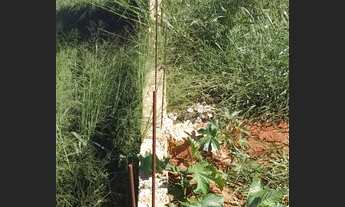 Imagem 5: TERRENO JD EUROPA