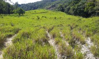 Imagem 3: Sítio em Santa Barbara do Monte Verde MG