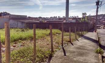 Imagem 6: LOTES bairro Nacional, rua Joaquim Murtinho em excelente localização