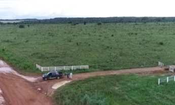 Imagem: Fazenda de 1958 hectares São Felix do Araguaia