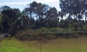 Imagem 6: Área de Terra Frente Asfalto Água Amarela