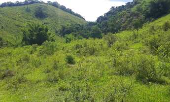 Imagem: Sítio em Bias Fortes MG