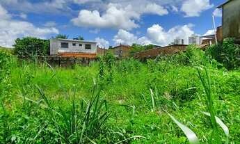 Imagem 3: Terreno em Várzea - Recife
