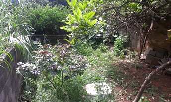 Imagem 2: São Paulo - Casa Padrão - SANTANA