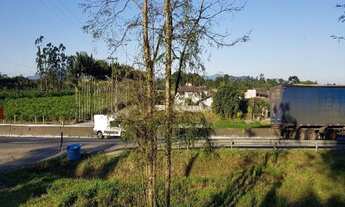 Imagem 4: TERRENO À VENDA, 245278 M² - RIO BONITO (PIRABEIRABA) - JOINVILLE/SC