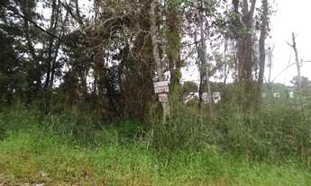 Imagem 4: Terreno à venda, 408 m² por R$ 170.000,00 - Santa Terezinha - Itapoá/SC