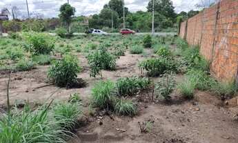 Imagem 2: Terreno no Parque Sul em Teresina-PI