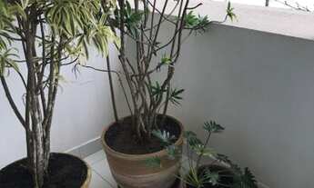 Imagem 6: APARTAMENTO - PITANGUEIRAS - SP