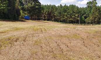 Imagem 5: Área Fazenda Rio Grande, 42.576,52 m2- fundos Jd. Veneza- R$4.260.000,00