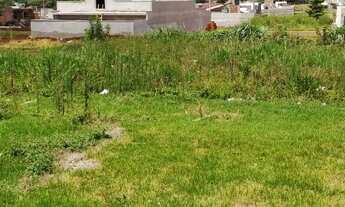 Imagem 2: Bom Jardim Terreno inteiro 400m