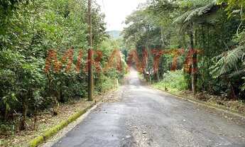 Imagem 3: Em Serra Da Cantareira