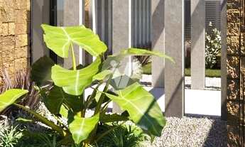 Imagem 4: Apartamento 2 Dormitórios c/ Suíte - Pinot Noir