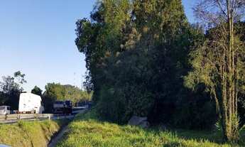 Imagem 6: TERRENO À VENDA, 245278 M² - RIO BONITO (PIRABEIRABA) - JOINVILLE/SC