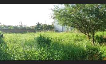 Imagem 6: Terreno Lote para Venda em Icaraí Araquari-SC - 1257