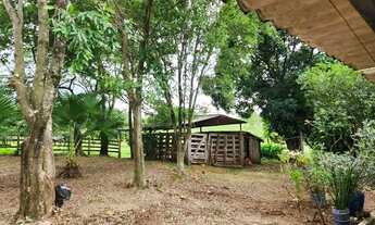 Imagem 7: Chácara para Venda em Alfredo Marcondes, CHÁCARA ALFREDO MARCONDES