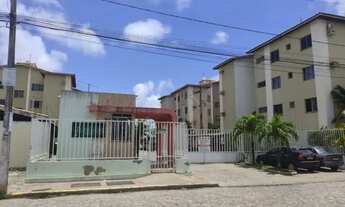 Imagem 1: Parque das Árvores - Marivan