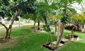 Imagem: Casa para venda com 491 m² com 5 quartos