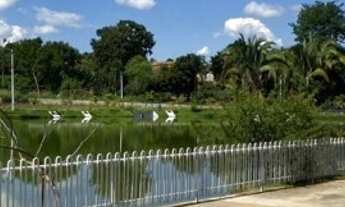 Imagem 4: Chácara de 40.000Mt2 em Indiara - GO