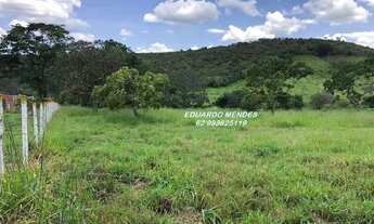 Imagem 4: Oportunidade Chácara com 21.000m², córrego, escriturada e registrada em Planalmira