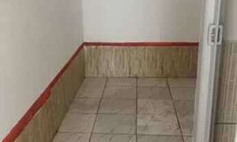 Imagem 5: Kit na 314 samambaia R$480 c/água/luz