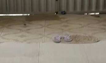 Imagem: Vendo essa casa no acaua m abaixo do preço