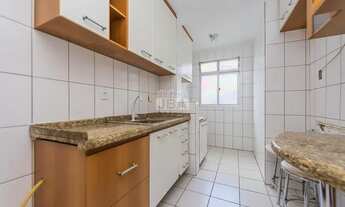 Imagem: SãO JOSé DOS PINHAIS - Padrão - Pedro