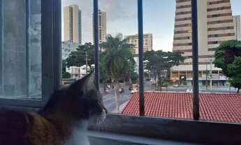 Imagem 2: Quarto para alugar em Boa Viagem