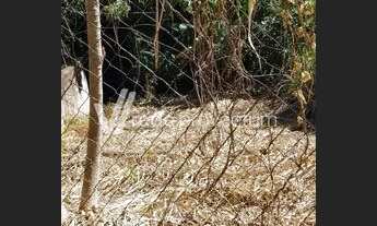 Imagem 2: Terreno - Jardim Sorirama (Sousas) - Campinas