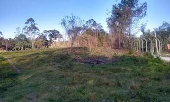 Imagem 7: Terreno para chacará 3600m² Vila de Glória