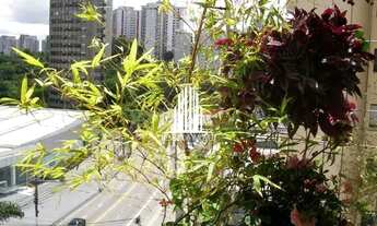 Imagem 3: Apartamento 3 dormitórios no Morumbi