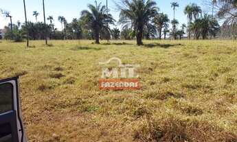 Imagem 4: Fazenda 152 alqueires ( 752 hectares ) São Luís dos Montes Belos - GO