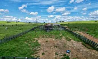Imagem 5: Invista em uma fazenda de ILP com recursos hídricos abundantes em Darcinópolis - TO