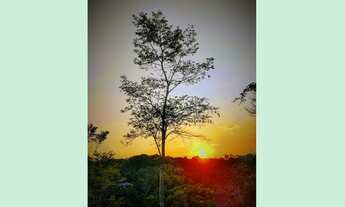 Imagem 3: Casa de condomínio de alto padrão com segurança 24hrs em Santa Isabel - SP