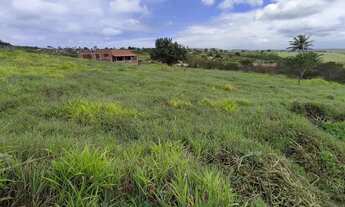 Imagem 4: Vendo Terreno em Gravatá