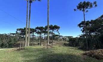 Imagem 7: TERRENO PARA VENDA EM URUBICI-SC