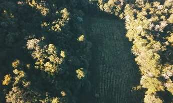 Imagem 3: Sitio - Bairro Carazal