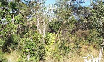 Imagem 4: Fazenda 151 alqueires ( 735 hectares ) Uruçuí-PI