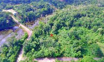 Imagem 4: Chácara Janauary 02/ 1.480m²/ Iranduba!