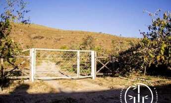 Imagem 5: CHÁCARA COM CASA