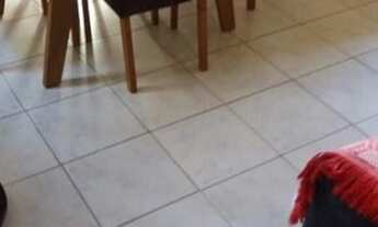 Imagem 4: Belo Horizonte - Apartamento Padrão - Serra Verde (Venda Nova