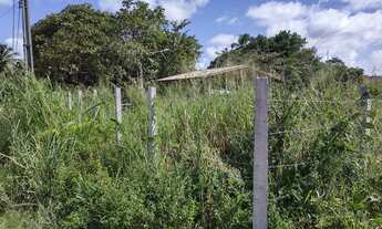 Imagem 5: Vendo Terreno com 450 metros quadrados em Ilha da Croa - Barra de Santo Antônio - AL